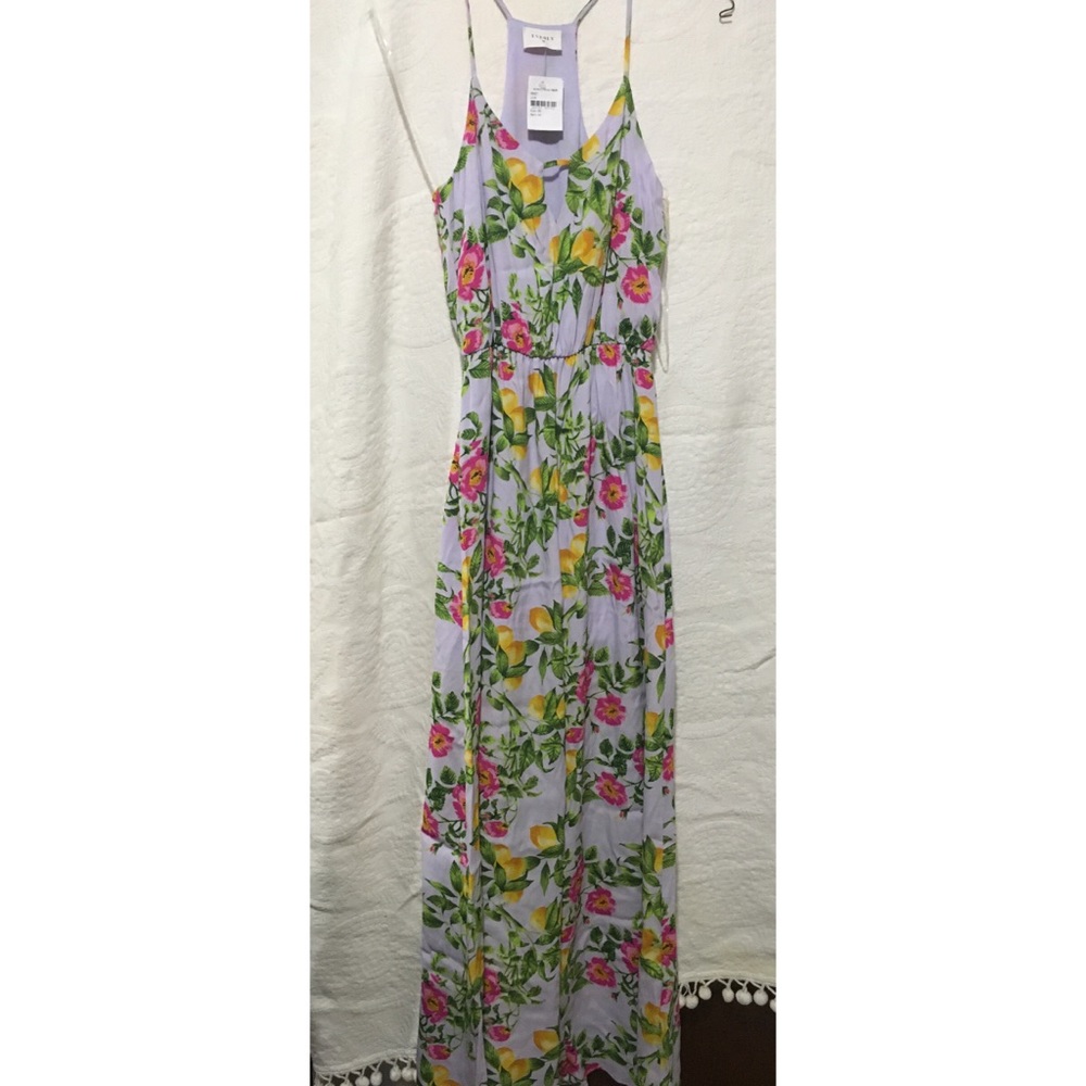 NEW Everly Maxi floral print dress